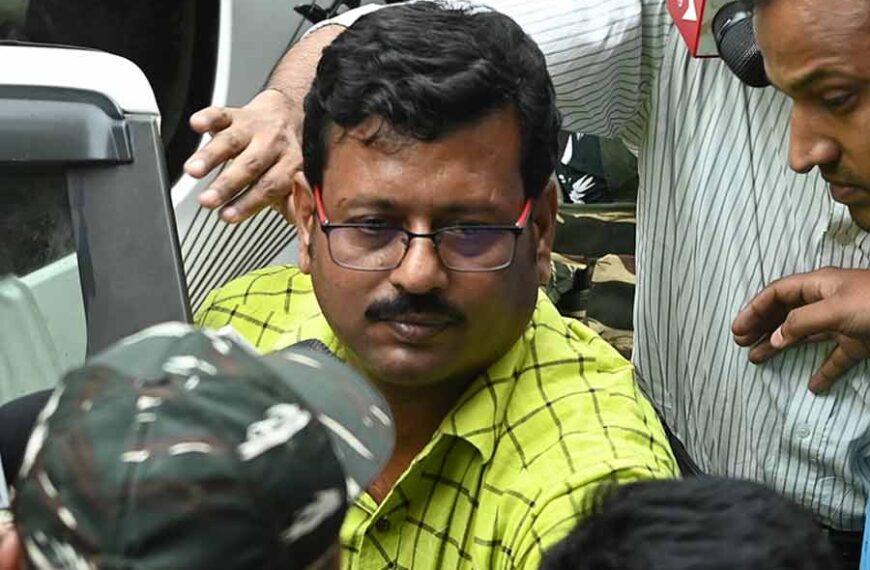 ভাইপো কী করেছে না করেছে,…