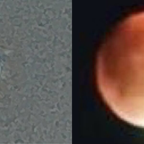 ২০২৫ সালের পূর্ণগ্রাস চন্দ্রগ্রহণে রক্তিম চাঁদের মহাজাগতিক দৃশ্য