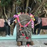 মাছ ধরতে গিয়ে যুবকদের জালে ধরা পড়ল দেবী দুর্গার মূর্তি, ভক্তি আর কৌতূহলে ভিড় গ্রামজুড়ে