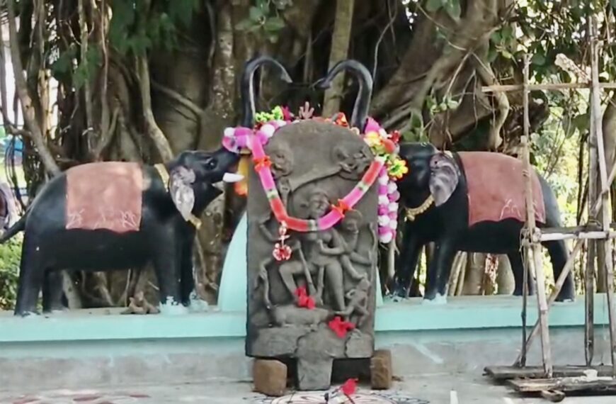 মাছ ধরতে গিয়ে যুবকদের জালে ধরা…