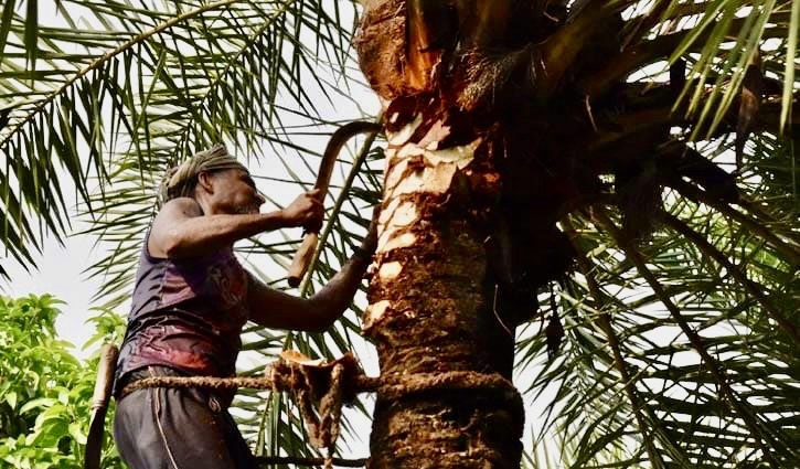 শীতের শুরুতে দক্ষিণ দিনাজপুর জেলার&hellip;