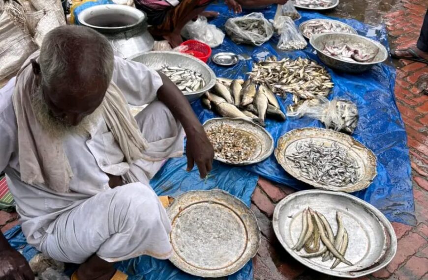 সকালবেলাতেই চলে আসেন যারা মাছ বিক্রি করেই সংসার&hellip;