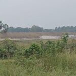 ভারত বাংলাদেশ সিমান্তে বেড়িবাঁধ নির্মাণ